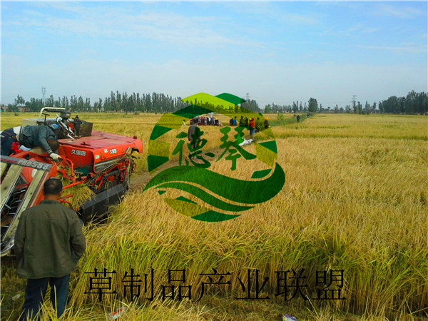jxf吉祥坊